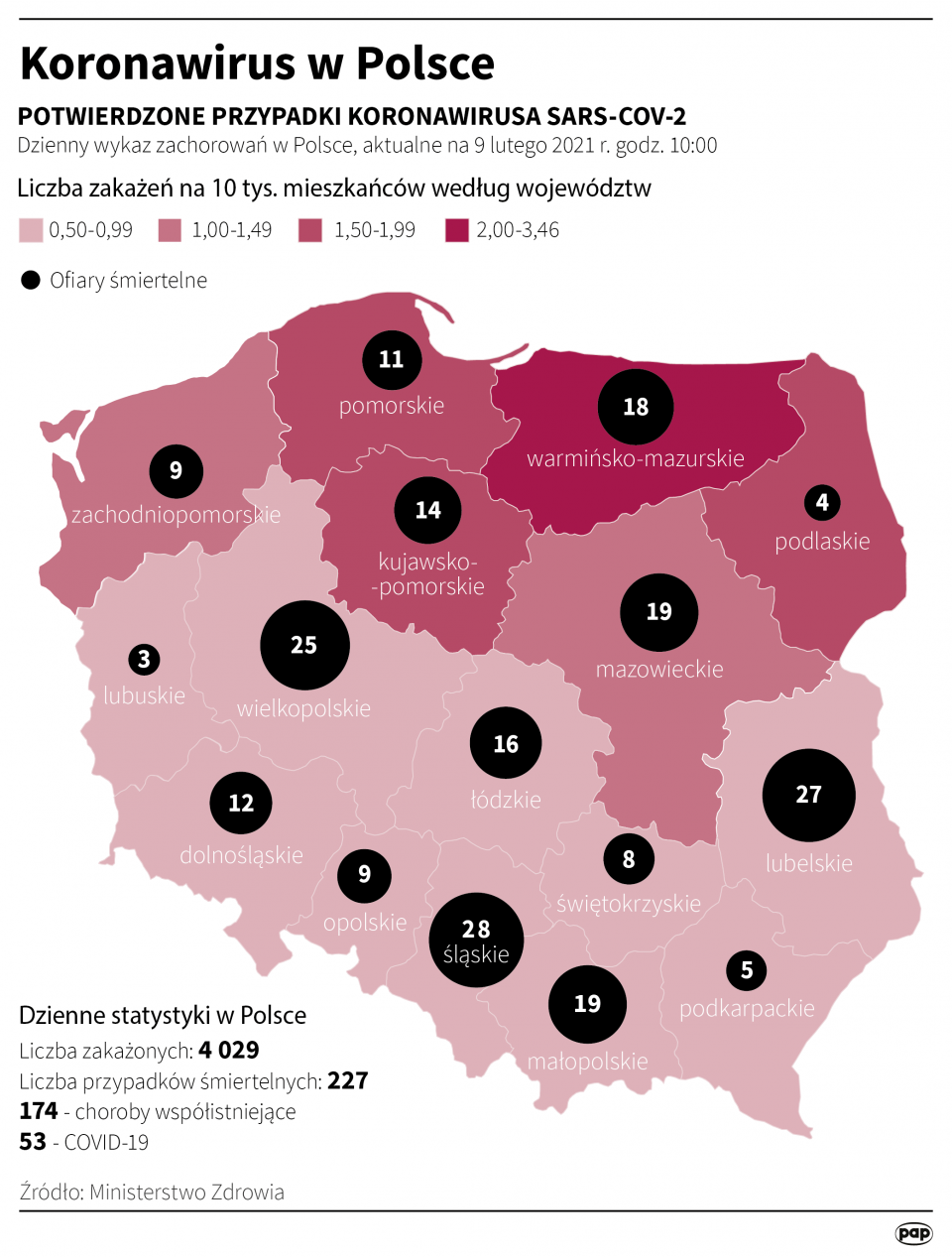 Koronawirus w Polsce stan na 9 lutego [autor: Maciej Zieliński, źródło: PAP]