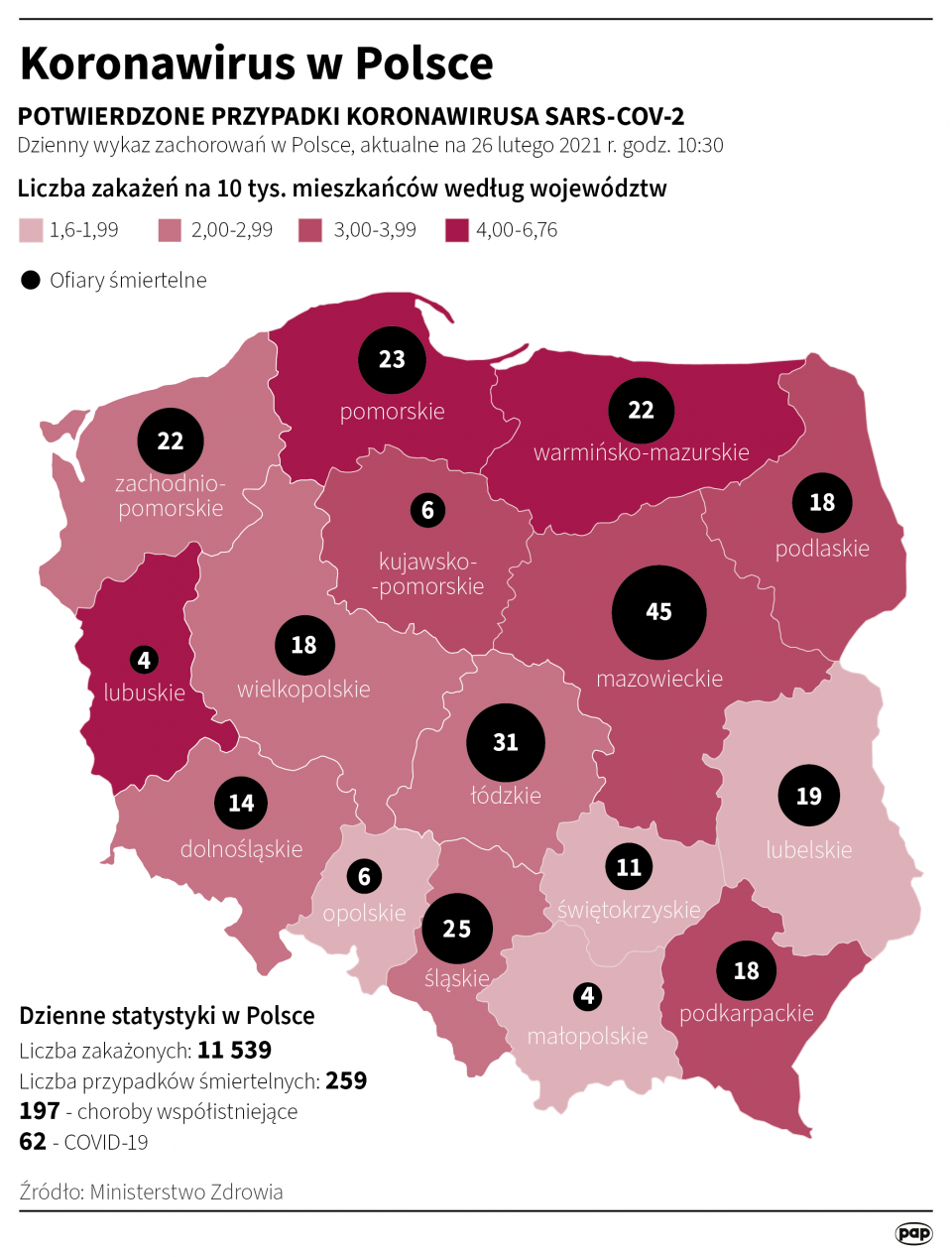 Koronawirus w Polsce - stan na 26 lutego [autor: Maria Samczuk, źródł: PAP]
