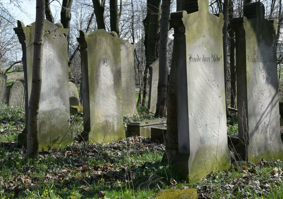 Cmentarz żydowski w Głogówku zostanie odnowiony - [fot: gmina Głogówek]