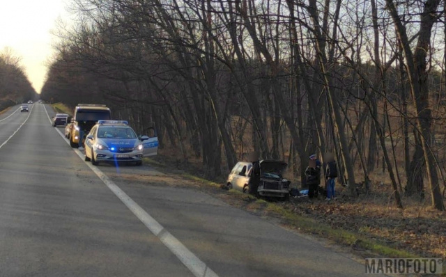 Opole: auto osobowe uderzyło w drzewo przy ul. Strzeleckiej. Nie ma jednak utrudnień w ruchu