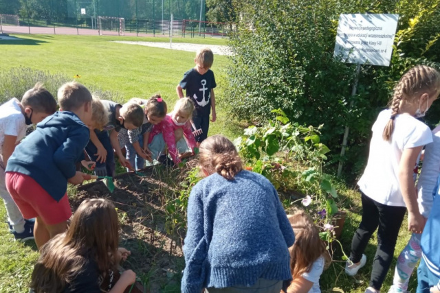 Najmłodsi na lekcjach dbają o ogródek, a na szkolnych parapetach obserwują rozsady