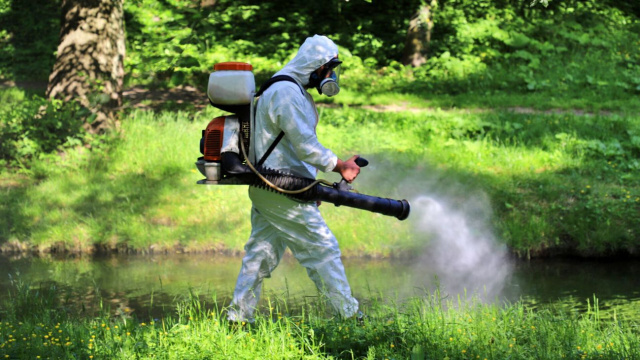 Brzeg wypowiada wojnę komarom. Chodzi o to, by powstrzymać ich rozwój