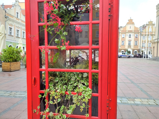 Czerwony automat w Opolu to teraz budka kwiatowa. Zależy nam na idei zero waste