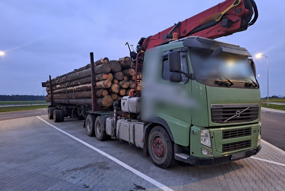 Kontrole ciężarówek z drewnem [fot. WITD]