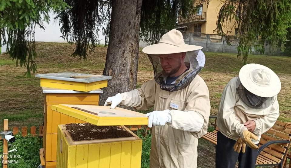 Pszczelarze mogą ubiegać sie o wsparcie [fot: Grzegorz Frankowski]
