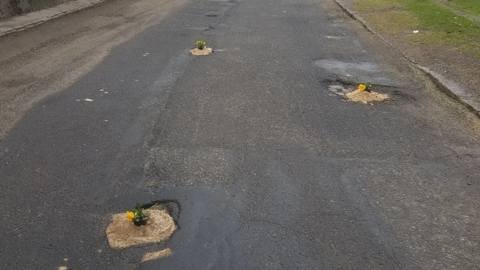 Droga powiatowa w Szybowicach. Przed pięciu laty w dziurach asfaltowej jezdni mieszkańcy posadzili kwiaty. W ten nietypowy sposób chcieli uzmysłowić władzom powiatu problemy, z jakimi borykają się na co dzień [fot. Internet]