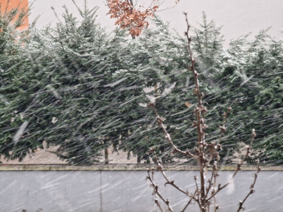 Opady śniegu w Opolu, 23.12.2023 [fot. Roman Juranek]]