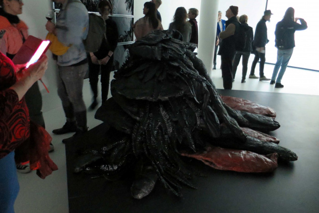 Galeria Sztuki Współczesnej w Opolu: Gardło diabła oczami naukowca