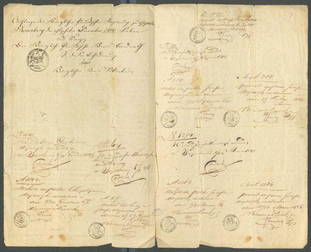 Archiwum Państwowe w Opolu przedstawia paszport z 1848 roku