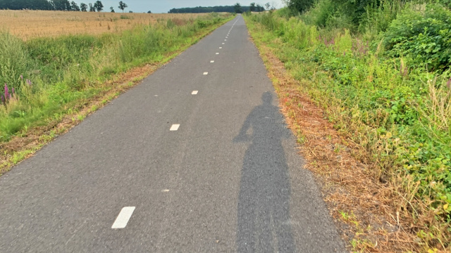 Grodków chce rozbudować infrastrukturę dla rowerzystów. W planach m.in. dokończenie ścieżki do Gałązczyc