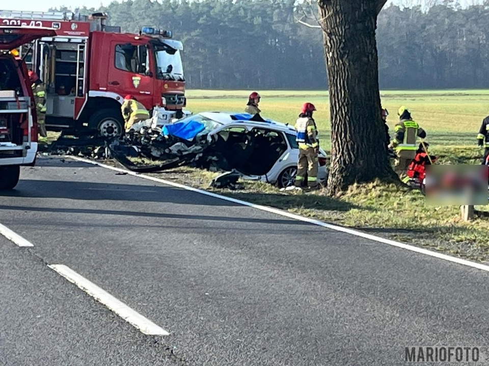 Wypadek na trasie Opole - Kluczbork (fot. MARIO)