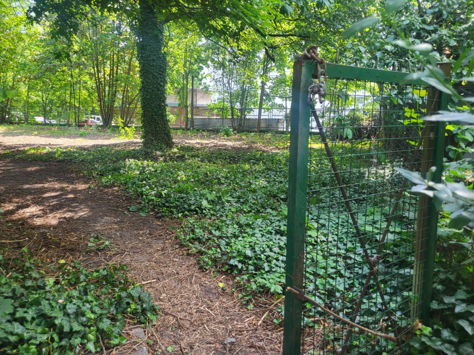Społeczny ogród powstaje w przy Krakowskiej 41b w Opolu [fot. Katarzyna Doros-Stachoń]