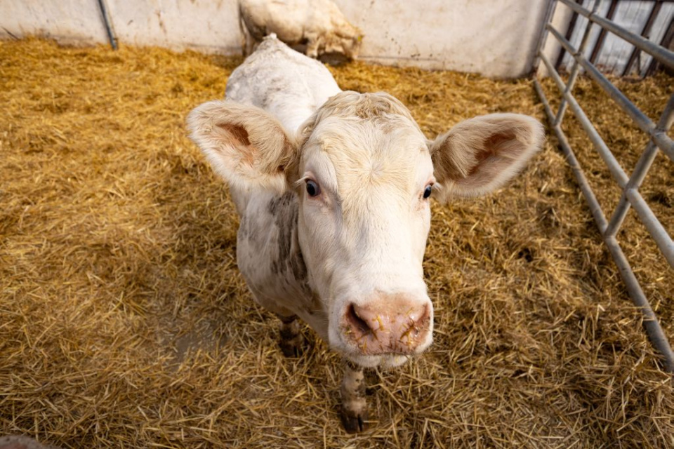 zdjęcie poglądowe [fot. envato.com]