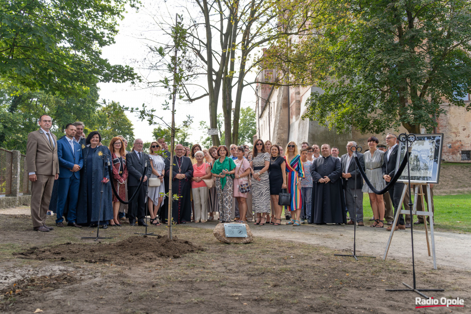 Zasadzenie dębu 800-lecia Niemodlina [fot. Adam Dubiński]