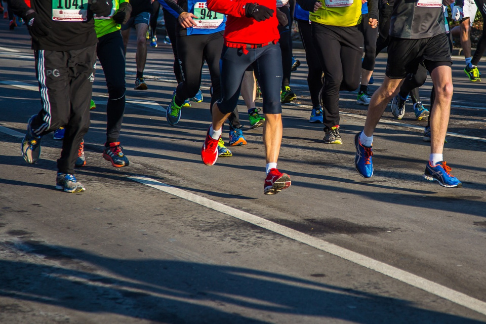 Półmaraton Aleją Dębów Czerwonych już w niedzielę [fot. https://pixabay.com/pl]