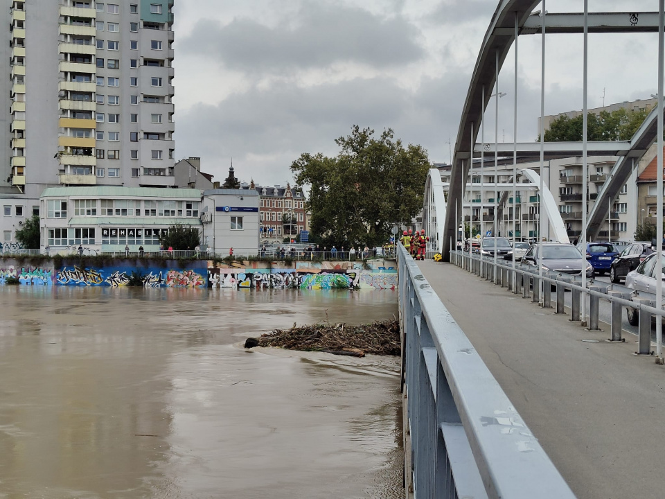 Opole [fot. Joanna Matlak]