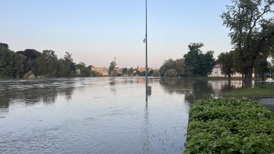 Odra w Brzegu we wtorek rano (17.09) fot. Daniel Klimczak