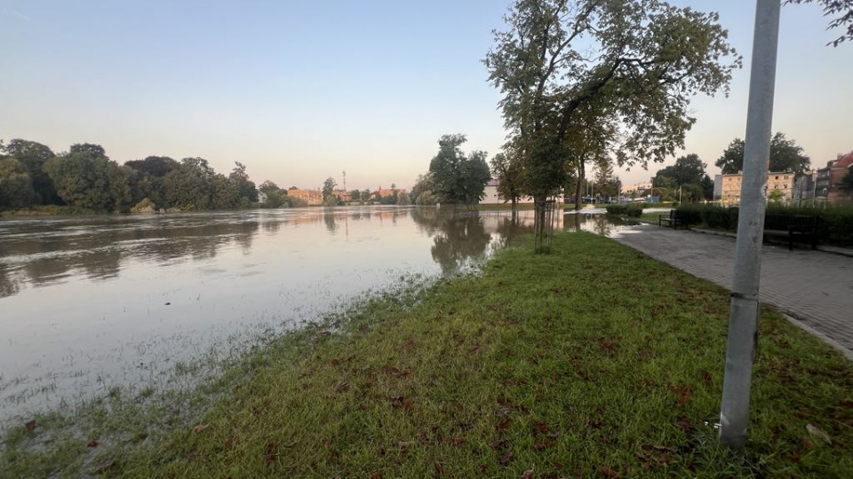 Odra w Brzegu we wtorek rano (17.09) fot. Daniel Klimczak