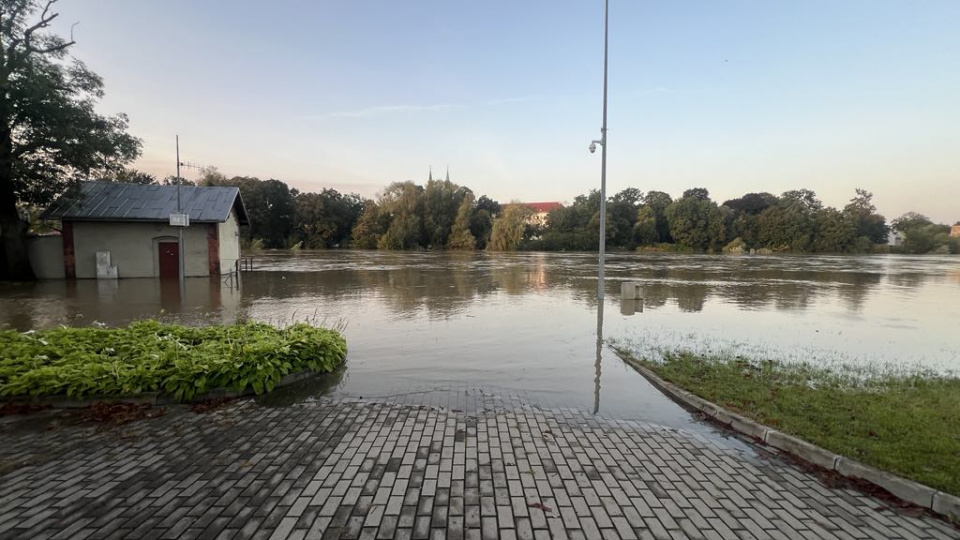 Odra w Brzegu we wtorek rano (17.09) fot. Daniel Klimczak