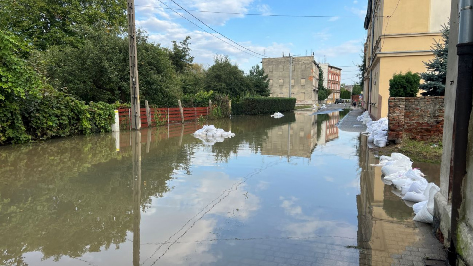 Ścieki zalewają ulicę Oławską w Brzegu [fot. Daniel Klimczak]