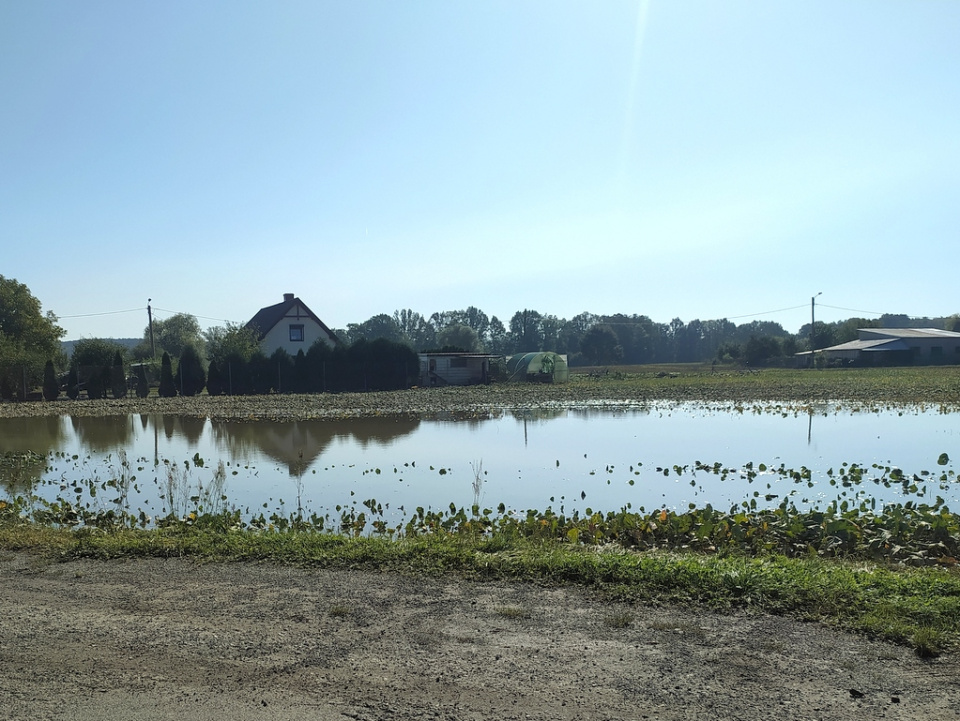 Skutki powodzi w Głębocku, 20.09.2024 r. [fot. Witold Wośtak]