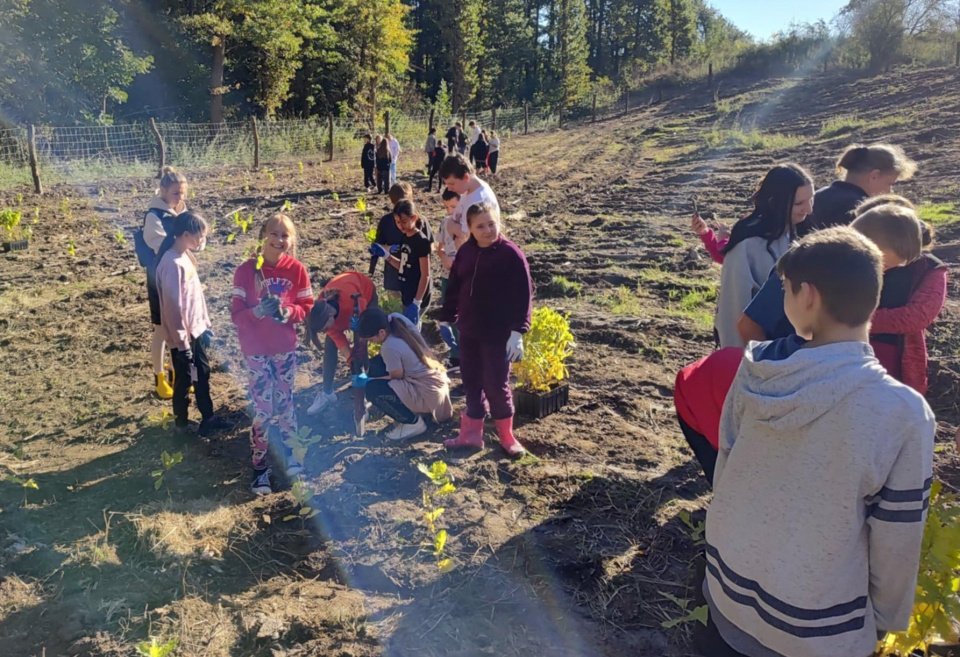 Sadzenie lasu w Ściborzycach Wielkich - [fot: Grzegorz Frankowski]