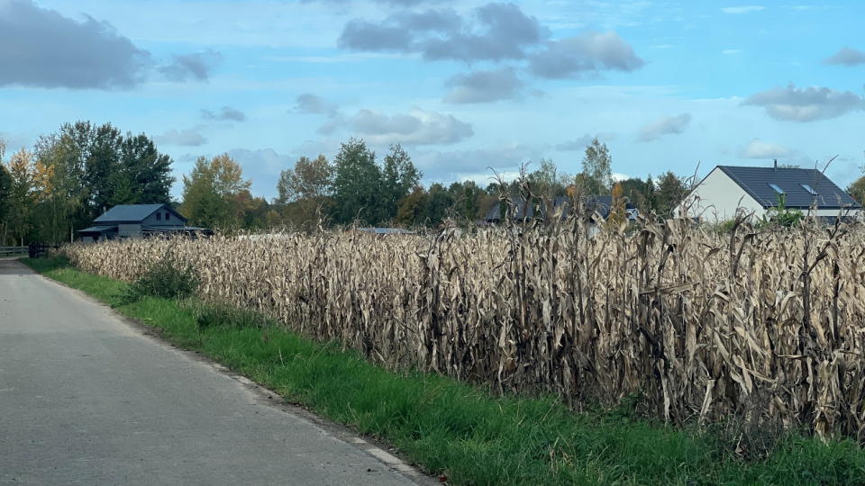 Głębocko sprząta po powodzi [fot. Daniel Klimczak]