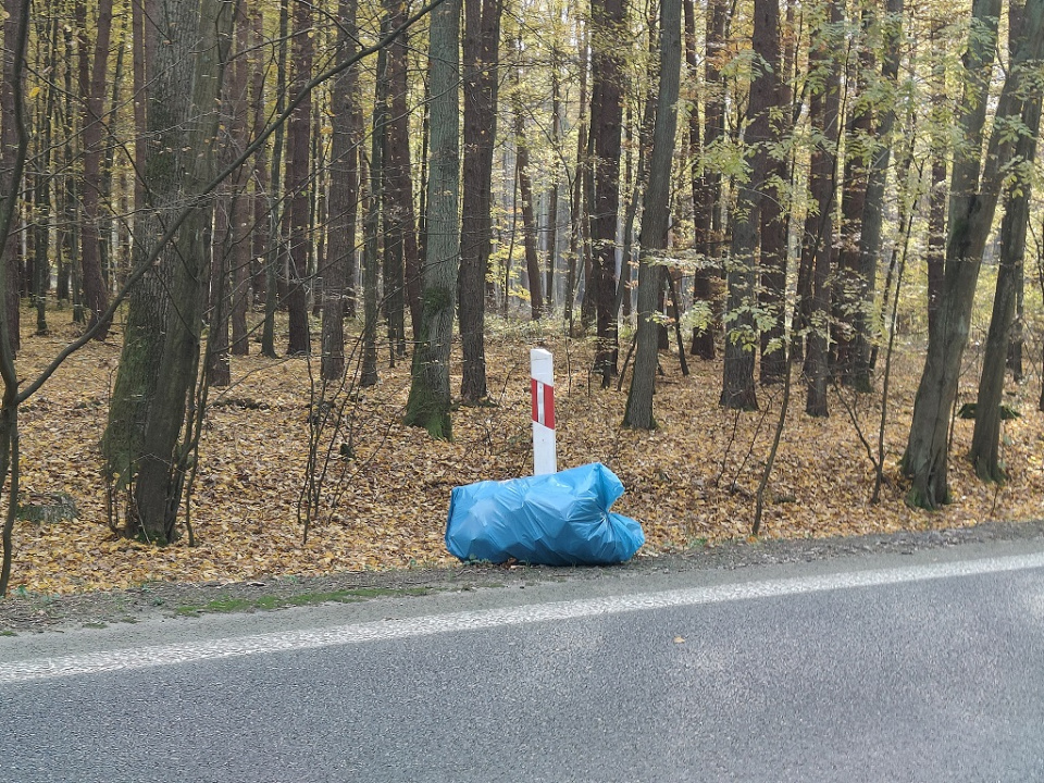 Grzybobranie i sprzątanie w brzeskich lasach. "Niestety, ilość śmieci przeraża" [fot. Joanna Matlak]