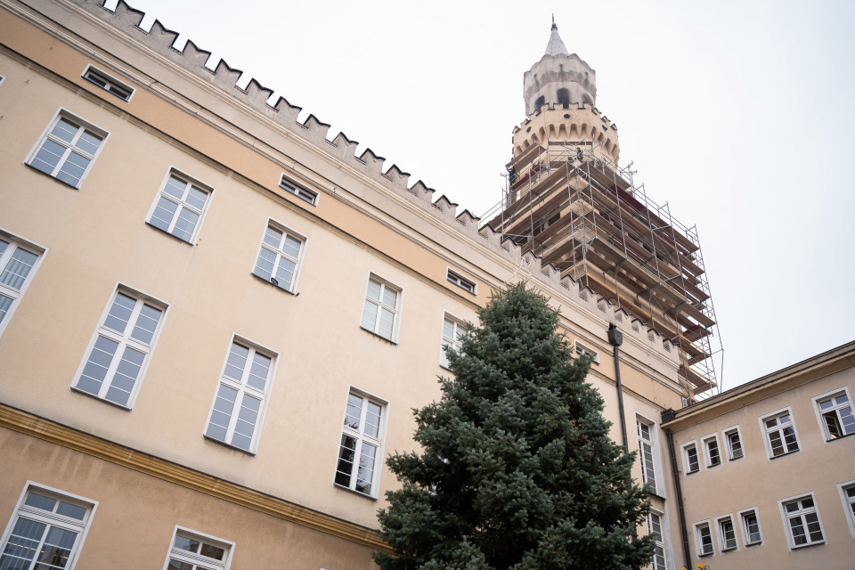 4,5 metrowa choinka już stoi na opolskim rynku [fot. Marcin Boczek]