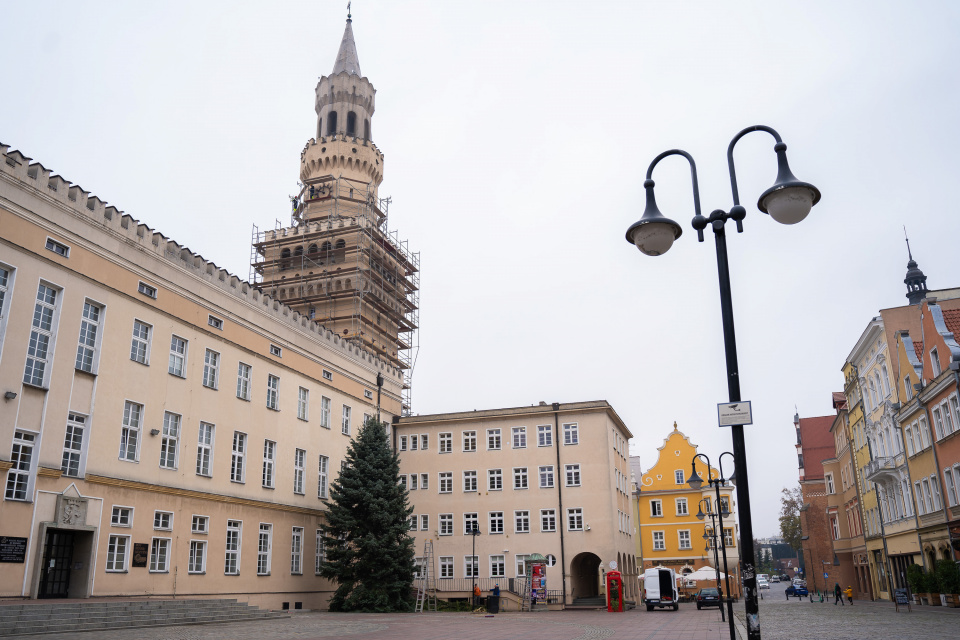 4,5 metrowa choinka już stoi na opolskim rynku [fot. Marcin Boczek]