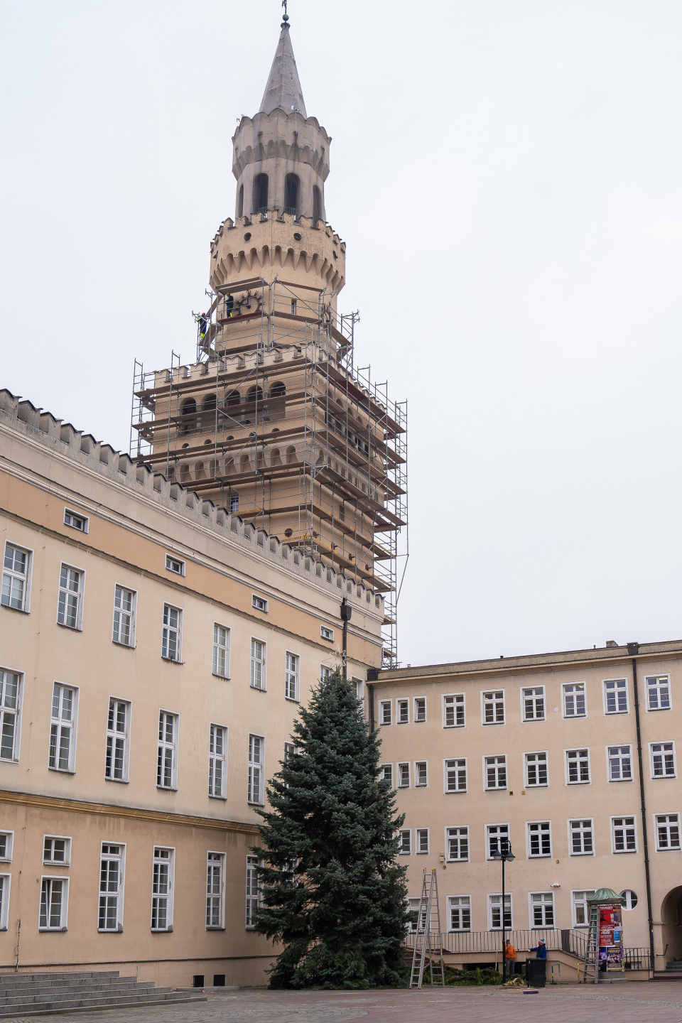 4,5 metrowa choinka już stoi na opolskim rynku [fot. Marcin Boczek]