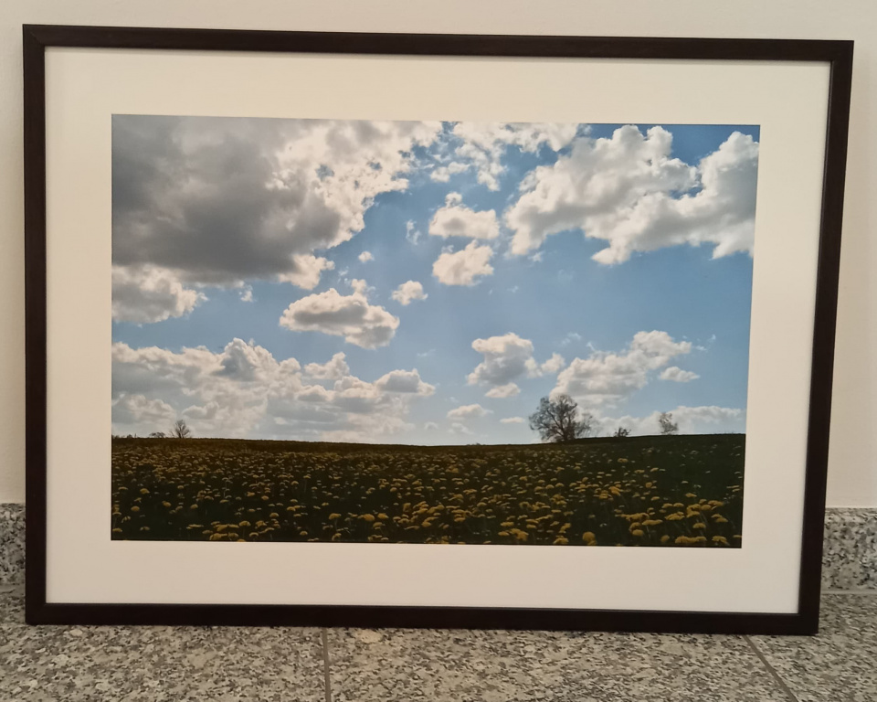 Jedna z fotografii [fot. Witold Sułek]