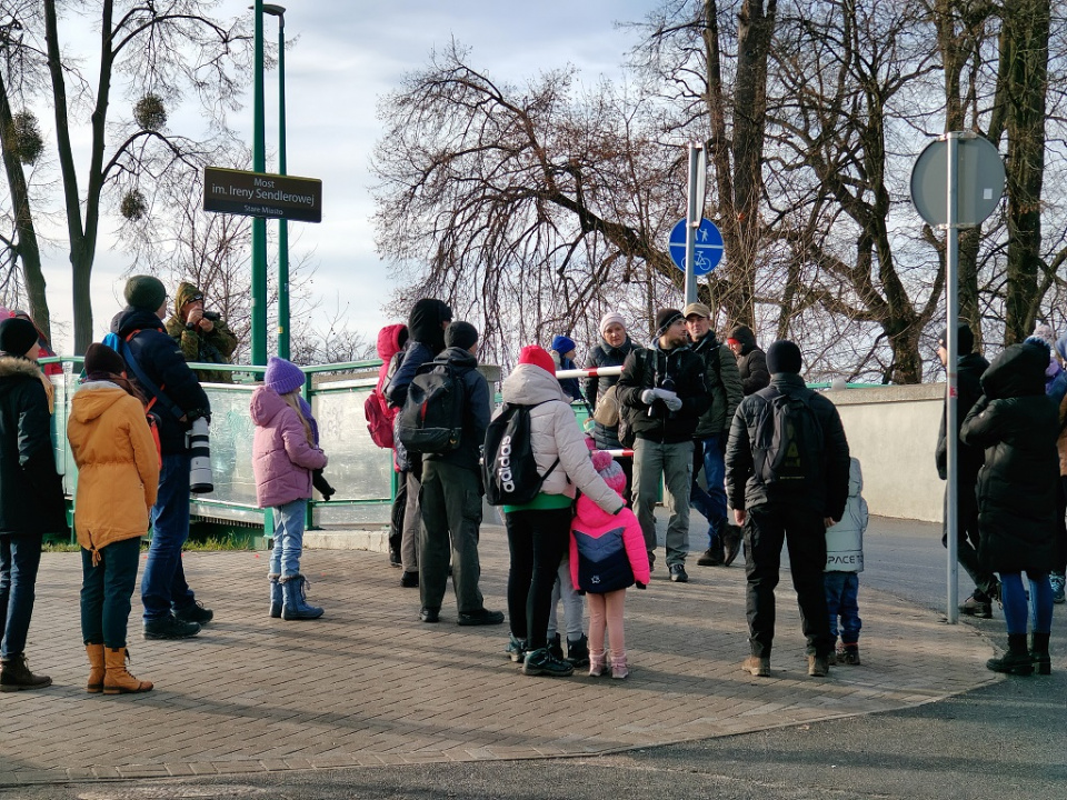 Noworoczne spacerowanie po wyspie Bolko z Opolskim Towarzystwem Przyrodniczym. "Żeby zacząć ten rok na spokojnie" [fot. Joanna Matlak]