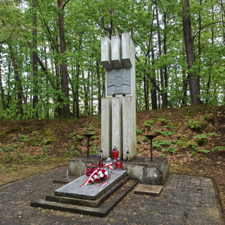 Hołd zamordowanym w 1921 roku działaczom plebiscytowym fot. Tomasz Cichoń