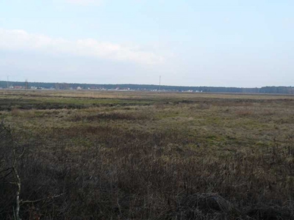 Na tych polach na razie rosną chwasty, ale niebawem będą plantacje pomidorów. Fot. Janusz Maćkowiak