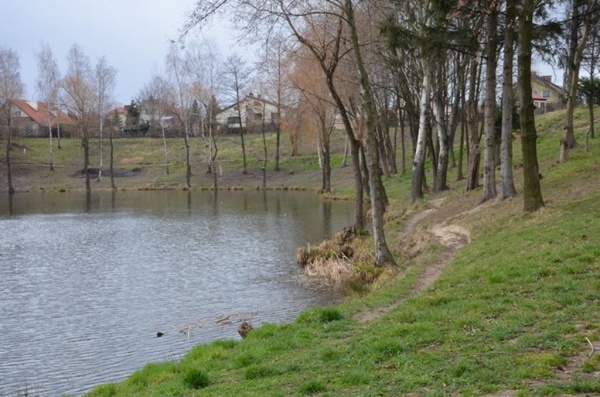 Uprzątniete tereny parkowe w Paczkowie