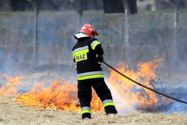 Pożar lasu w Komornie. Strażacy w weekend mieli też wiele wezwań do wypalanych traw