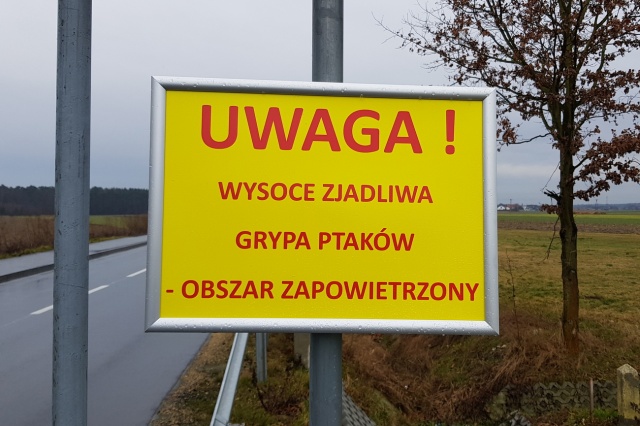 Uwaga Grypa ptaków na Opolszczyźnie, trzy powiaty z ograniczeniami