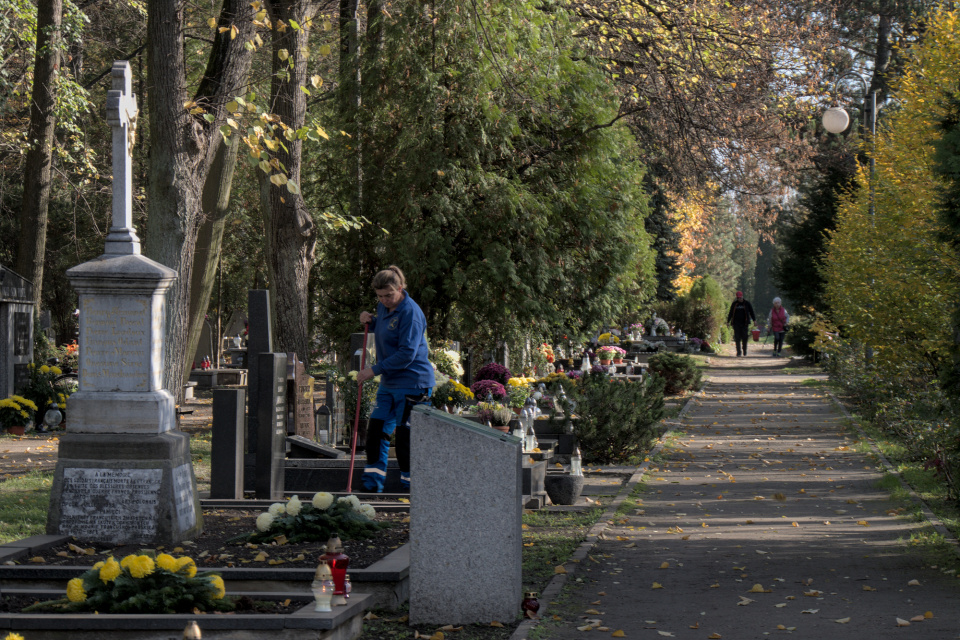 Aleja zasłużonych na cmentarzu na Półwsi, Opole [fot. Maciej Marciński]