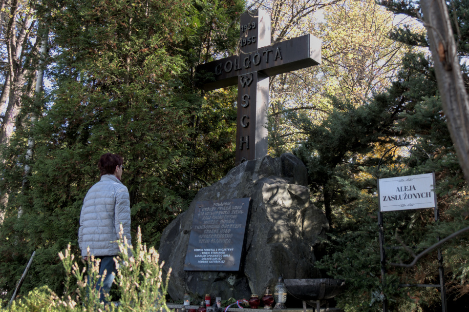 Aleja zasłużonych na cmentarzu na Półwsi, Opole [fot. Maciej Marciński]