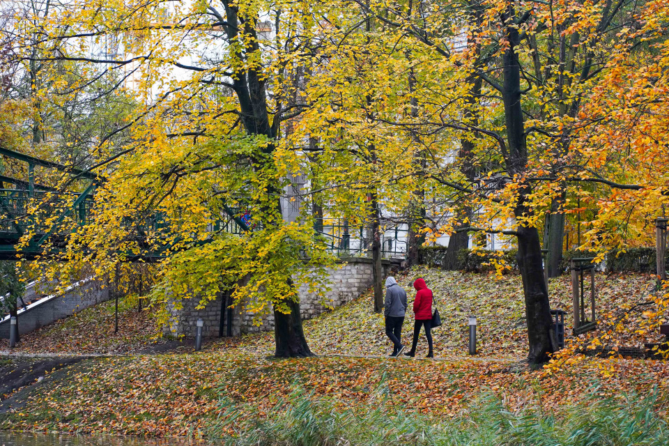 Jesień w Opolu [fot. Adam Dubiński]