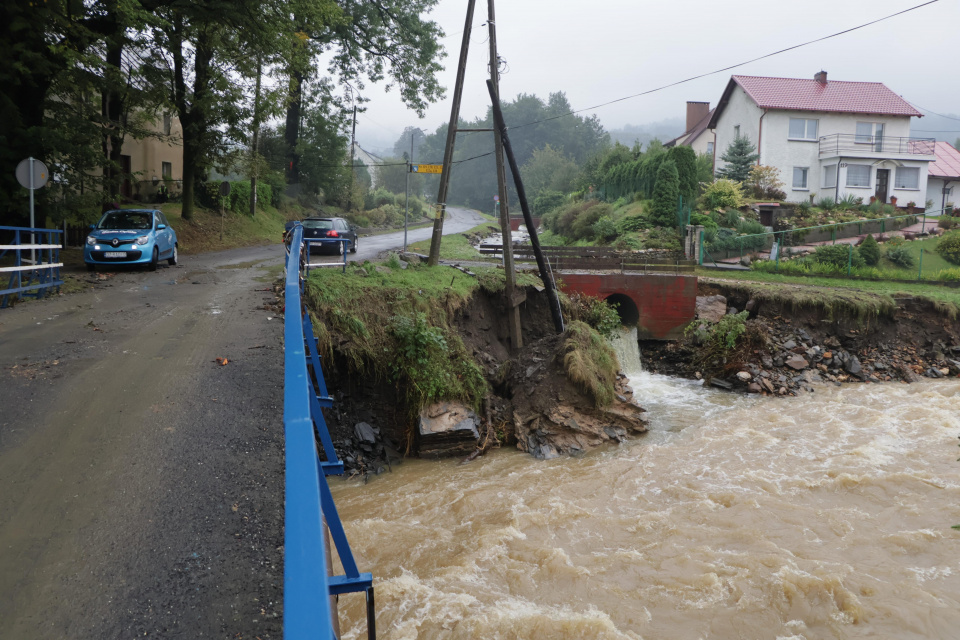 Złoty Potok w Jarnołtówku, 16.09.24. [fot. Sławomir Mielnik]