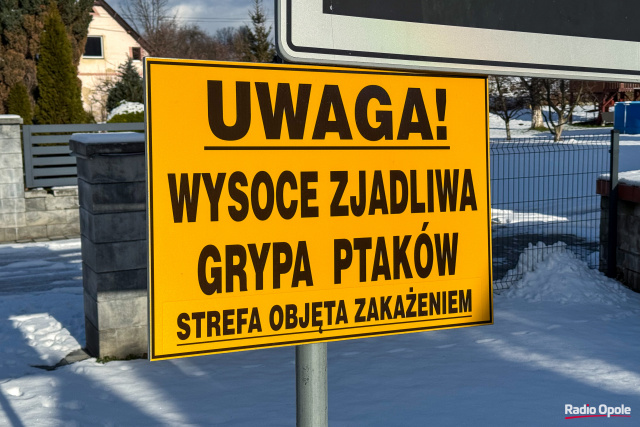 Ptasia grypa w powiecie namysłowskim