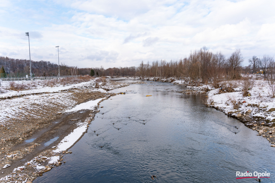 Biała Głuchołaska w Głuchołazach (03.01.2025) [fot. Adam Dubiński]