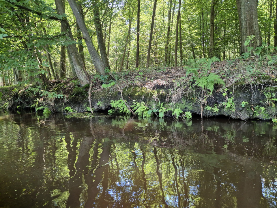 Na Budkowiczance [fot. Barbara Tyslik]