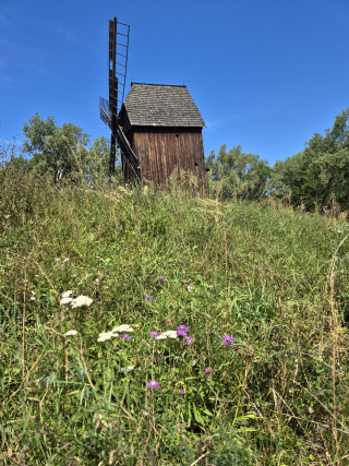 Kościół z Gręboszowa zbudowany z bali modrzewiowych w 1613 r. [fot. Barbara Tyslik]