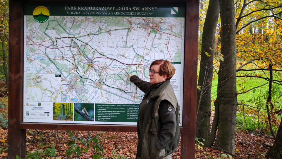 Beata Wielgosik przy tablicy przystankowej na ścieżce przyrodniczej „Czarnocińskie Buczyny” [fot. Barbara Tyslik]