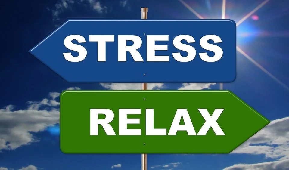 Dlaczego tak groźny jest stres informacyjny i jak mu się nie dać? Posłuchaj audycji "Szlachetne zdrowie"! [https://pixabay.com/pl]