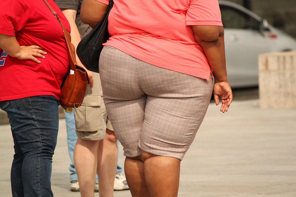 Osoby otyłe ciężej przechodzą infekcje dróg oddechowych [fot. https://pixabay.com/pl]
