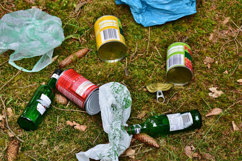 Śmieci w lesie [fot. pixabay]